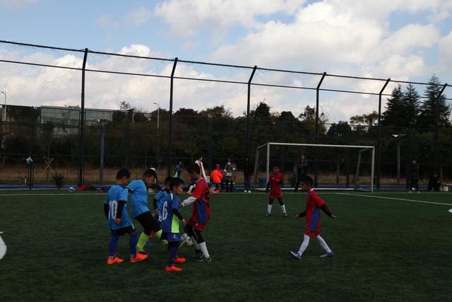 尼克斯大胜送猛龙12连败 开拓者不敌老鹰8连败